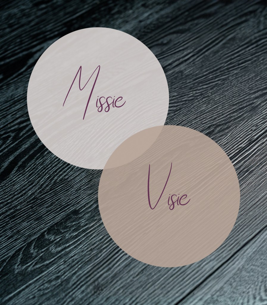 Vijf redenen waarom jij als ondernemer niet zonder missie en visie&nbsp;kan