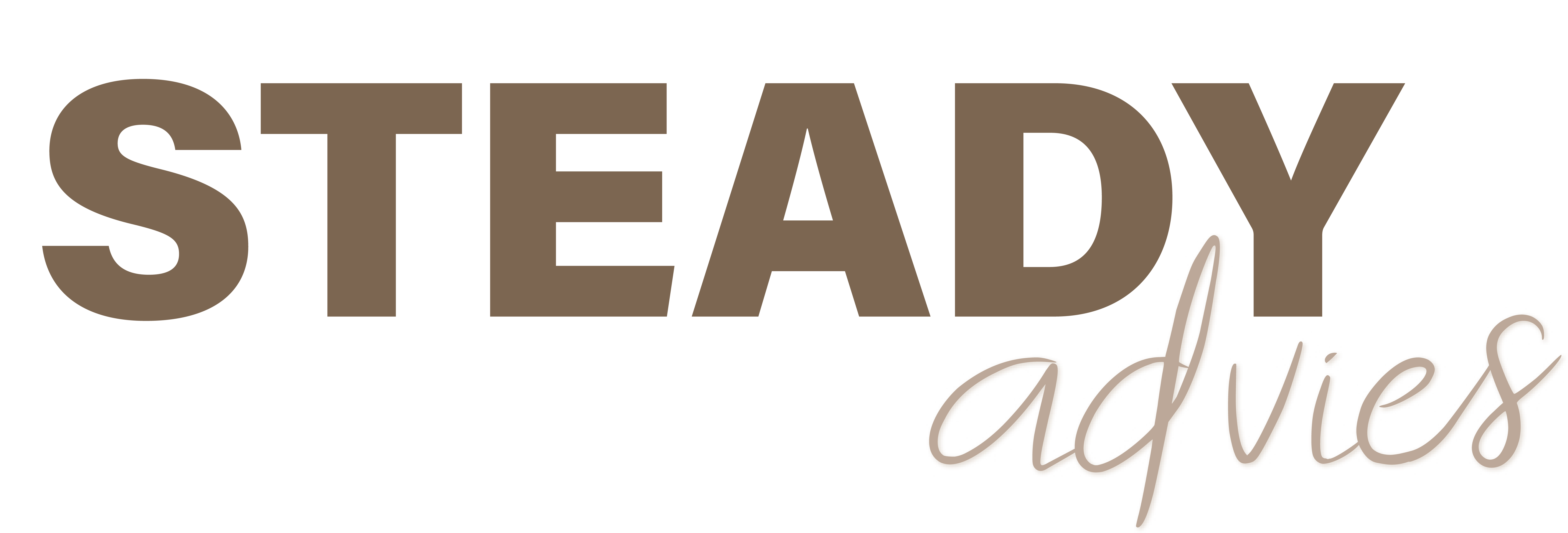 Steady Advies